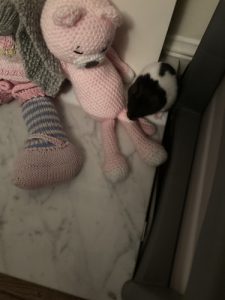 Merry with a crocheted cat