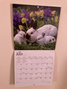 Rabbit calendar - open to July
