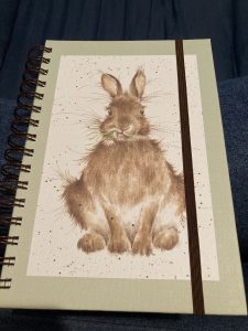 Rabbit notebook